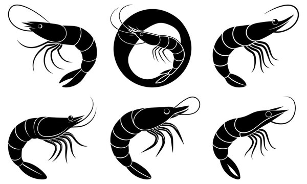 Elegant shrimp illustrations, seafood menu designs, restaurant branding, gourmet cuisine, modern culinary art, delicious flavors, upscale dining experience