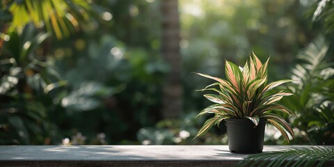 Street sign with a love and truth message, serving as a navigation aid for emotional guidance, World Love Day