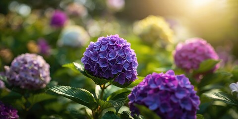 Arctic fox in Spitsbergen, highlighting natural habitat and seasonal adaptation