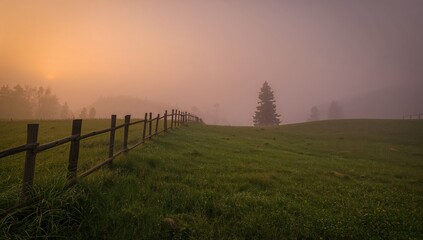 Foggy mountain dawn with a wooden fence, pine trees, and dew-covered grass, seasonal change