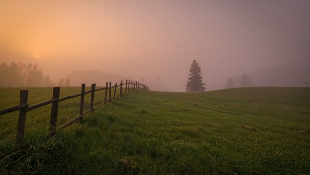 Foggy mountain dawn with a wooden fence, pine trees, and dew-covered grass, seasonal change