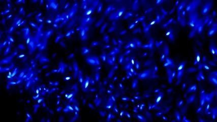 Abstract blue background with luminous particles and a dynamic flow effect. - Powered by Adobe