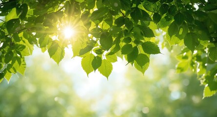 A large amount of green leaves used as a natural background for text or layout, emphasizing botanical themes