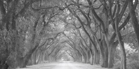 Fototapeta premium Soccer training equipment on artificial turf with kid players in the background, focused on safety and maintenance practices