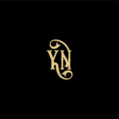 YN letter initial royal concept Barock style design monogram modern logo