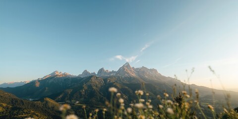 Green leaves natural vegetable clove basil for culinary use, emphasizing fresh herbs in food preparation