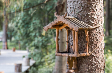 Environmental friendliness. Care and assistance to animals and birds. Wooden feeder in the form of a house on a tree trunk in the forest.
