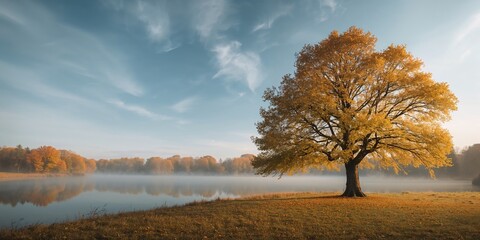 Accounting records and documents being reviewed by a financial auditor, emphasizing office document management and compliance