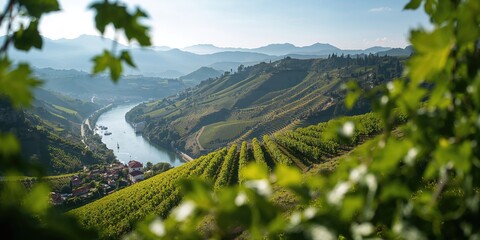 Naklejka premium Colorful flower bed with red, yellow, and orange blooms in a sunlit garden used as a vibrant outdoor floral display