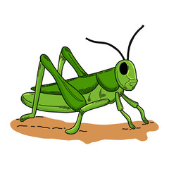 cartoon green grasshopper vector illustration