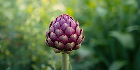 Obraz premium Woman in a field enjoying tranquility with flowing fabric in the breeze, emphasizing natural serenity, Earth Day