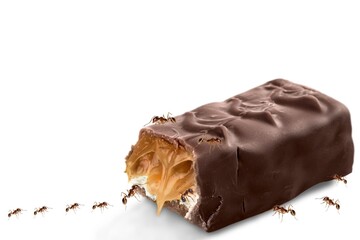A chocolate bar with a bite taken out, revealing creamy peanut butter inside, accompanied by ants crawling on it, adding a playful twist to a classic snack