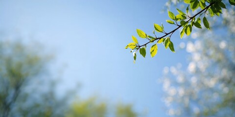 Vibrant garden scene with blooming flowers and colorful pink floral arrangement, seasonal change
