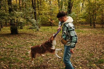 Australian Shepherd dog jumping and pulling toy held by man in forest. Concept of motion, fun, and pet activity