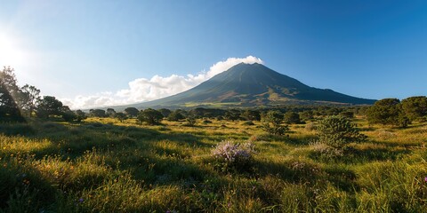 Old wood surface with textured grain suitable for background design, useful for layout and text placement
