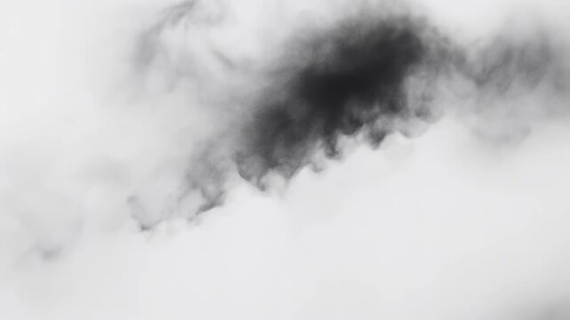 Abstract smoke pattern blending black and white tones.