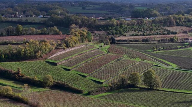 SAINT-ETIENNE DE LISSE, AERIAL VIEW OF THE FAUGERES CASTLE VINEYARD, SILVIO DENZ VINEYARD, GRAND CRU CLASSE, AOC SAINT EMILION, BORDEAUX VINEYARD