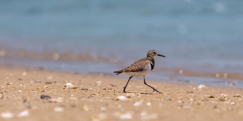 Pensive woman's outline on white background, emphasizing focus and introspection