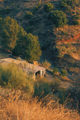 Stable of corrugated iron between trees in a valley during golden hour. Andalucia, Spain.