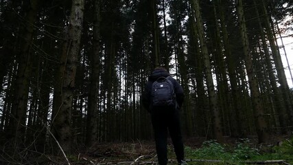 A rear view shot of a female hiker wearing a backpack and dark clothing, walking through a dense, dimly lit spruce forest with many tree trunks. The scene depicts hiking and nature exploration.