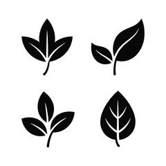 Collection of four stylized black leaf silhouettes on white background