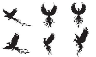 Obraz premium Collection of mythical phoenix bird silhouettes in various dynamic poses silhouette