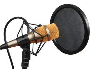 Studio microphone with pop filter for professional vocal recording, podcasting, broadcasting, and audio production (isolated) - 144 characters