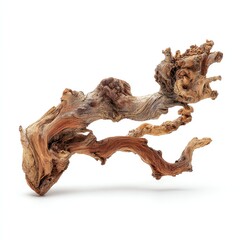 Unique and artistic driftwood piece with intricate textures and natural shapes.