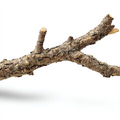 A detailed close-up of a rustic twig showcasing its natural texture and color.