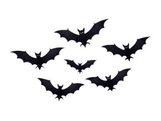 Flock of bats flying isolated on transparent background