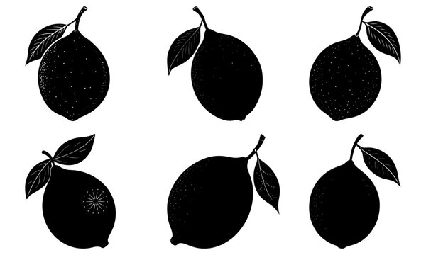 Elegant lemon silhouettes for vibrant designs, perfect for summer promotions, fresh food branding, and modern kitchen decor with a natural zest