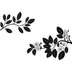 Black silhouette of cherry blossom branches with leaves
