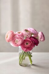 Beautiful bouquet of pink and red ranunculus flowers in a glass vase