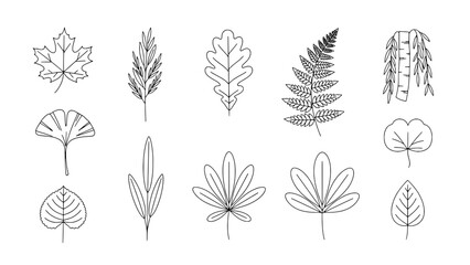 A Collection of Twelve Assorted Botanical Leaf Line Art Icons in a Flat Design Style