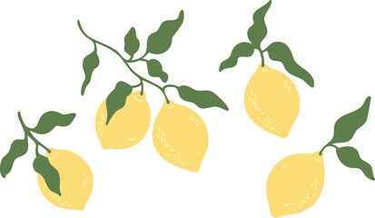 Hand drawn lemon branch vector set