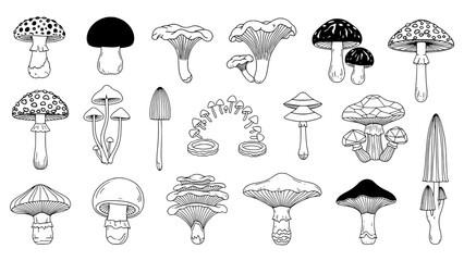 A varied collection of eighteen hand-drawn mushroom illustrations, featuring outlines, solid black caps, and spotted designs, arranged in an irregular grid on a white background.