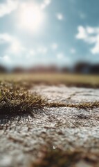 Captivating View of Grass and Stone Path Under a Bright Sky Illuminated by the Sun in a Beautiful Natural Setting
