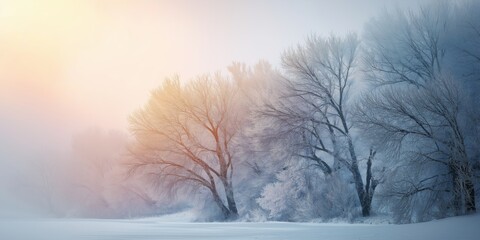 Winter nature background with snow-covered trees and subtle golden sunset glow, peaceful winter ambiance, airy negative space