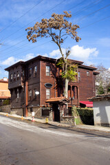 Traditional wooden Ottoman house with tall tree Tarakli