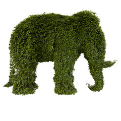 green grass isolated