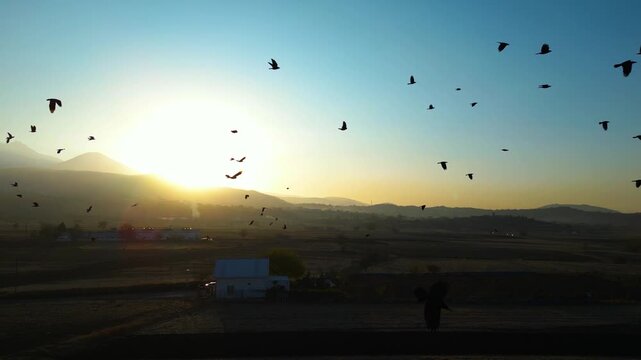 A dramatic sunset scene captured by a drone, featuring silhouettes of crows gliding across the colorful sky as warm evening light spreads over the landscape.