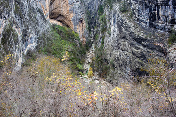 Rocky canyon walls rising above autumn forest vegetation