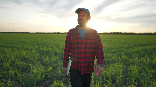 Man walks field crop holding laptop. Farmer takes slow steps, studies horizon. Looks around at crop, feels sunset on face. Laptop guides farmer over horizon crop, watches field grow farmer view.