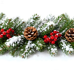 Snowy Pine Branches with Cones and Red Berries on White Background