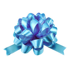 Blue Curly Ribbon Gift Bow on a white background.