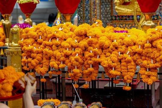 Strength of Faith concept, Peoples pay respect to the Erawan Shrine (Thao Maha Phrom Shrine) with marigold garlands, Ratchaprasong intersection of Ratchadamri, Lumphini, Pathum Wan, Bangkok, Thailand.