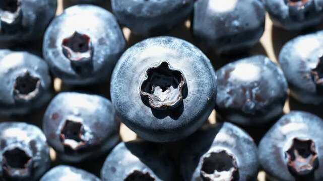 Close-up of fresh ripe blueberries arranged in a clustered pattern under bright natural light showcasing their rich blue color and smooth texture photographed from above.