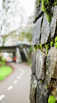 close up moss on roadside wall, bright green tufts on stone beside bike lane with blurred commuter in orange jacket passing under bridge, shallow depth conveys motion and everyday transit
