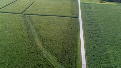 Aerial view of large agricultural fields divided into geometric sections