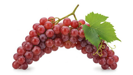 Fototapeta premium Fresh red grapes with green leaf isolated on white background